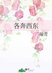 中国的国旗是谁设计的？游戏画面