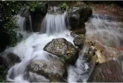 一顿浪漫晚餐