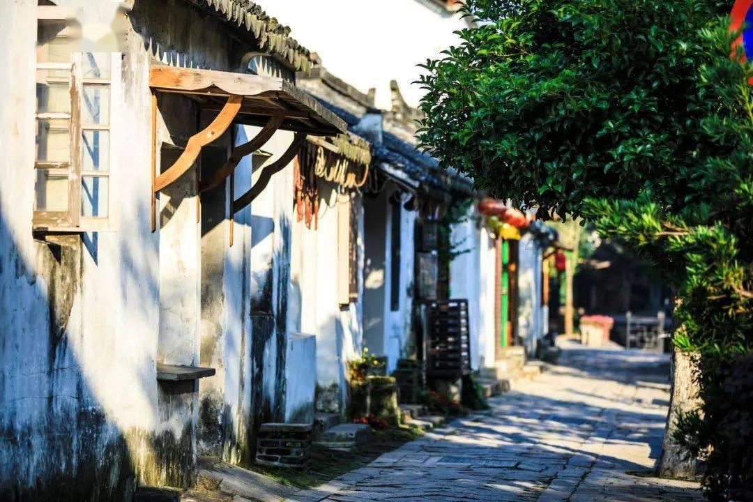 豆娃勇士2